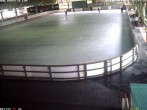 Archiv Foto Webcam Willingen: Blick in die Eissporthalle 13:00
