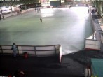 Archiv Foto Webcam Willingen: Blick in die Eissporthalle 07:00