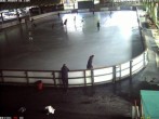 Archiv Foto Webcam Willingen: Blick in die Eissporthalle 15:00