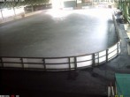 Archiv Foto Webcam Willingen: Blick in die Eissporthalle 05:00