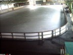 Archiv Foto Webcam Willingen: Blick in die Eissporthalle 06:00