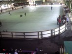 Archiv Foto Webcam Willingen: Blick in die Eissporthalle 07:00