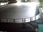 Archiv Foto Webcam Willingen: Blick in die Eissporthalle 05:00