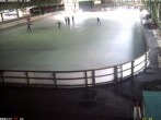 Archiv Foto Webcam Willingen: Blick in die Eissporthalle 07:00