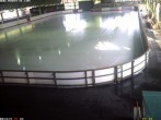 Archiv Foto Webcam Willingen: Blick in die Eissporthalle 17:00