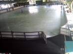 Archived image Willingen - Webcam Ice Arena 13:00