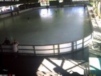 Archived image Willingen - Webcam Ice Arena 15:00