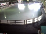 Archived image Willingen - Webcam Ice Arena 17:00