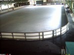 Archiv Foto Webcam Willingen: Blick in die Eissporthalle 19:00