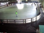 Archiv Foto Webcam Willingen: Blick in die Eissporthalle 15:00