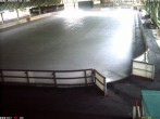 Archiv Foto Webcam Willingen: Blick in die Eissporthalle 05:00