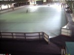 Archiv Foto Webcam Willingen: Blick in die Eissporthalle 07:00