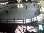 Archiv Foto Webcam Willingen: Blick in die Eissporthalle 15:00