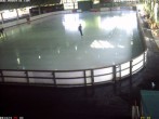 Archiv Foto Webcam Willingen: Blick in die Eissporthalle 17:00