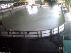 Archiv Foto Webcam Willingen: Blick in die Eissporthalle 11:00