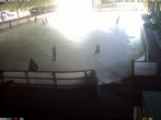Archiv Foto Webcam Willingen: Blick in die Eissporthalle 07:00