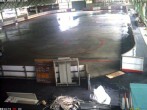 Archiv Foto Webcam Willingen: Blick in die Eissporthalle 14:00