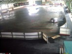 Archived image Willingen - Webcam Ice Arena 06:00
