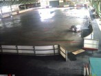 Archived image Willingen - Webcam Ice Arena 08:00