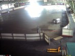 Archiv Foto Webcam Willingen: Blick in die Eissporthalle 07:00