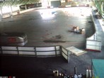 Archived image Willingen - Webcam Ice Arena 17:00