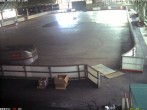 Archiv Foto Webcam Willingen: Blick in die Eissporthalle 09:00