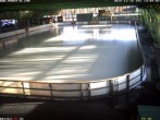 Archiv Foto Webcam Willingen: Blick in die Eissporthalle 12:00