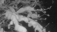 Archiv Foto Webcam Oberstdorf: Freibergsee Liegewiese 18:00