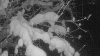 Archiv Foto Webcam Oberstdorf: Freibergsee Liegewiese 22:00