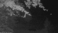 Archiv Foto Webcam Oberstdorf: Freibergsee Liegewiese 01:00