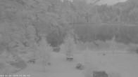 Archiv Foto Webcam Oberstdorf: Freibergsee Liegewiese 05:00