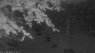 Archiv Foto Webcam Oberstdorf: Freibergsee Liegewiese 03:00