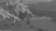 Archiv Foto Webcam Oberstdorf: Freibergsee Liegewiese 03:00