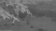 Archiv Foto Webcam Oberstdorf: Freibergsee Liegewiese 03:00