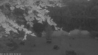 Archiv Foto Webcam Oberstdorf: Freibergsee Liegewiese 03:00