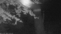 Archiv Foto Webcam Oberstdorf: Freibergsee Liegewiese 23:00