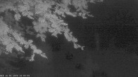 Archiv Foto Webcam Oberstdorf: Freibergsee Liegewiese 03:00