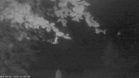 Archiv Foto Webcam Oberstdorf: Freibergsee Liegewiese 03:00