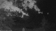 Archiv Foto Webcam Oberstdorf: Freibergsee Liegewiese 01:00