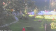Archiv Foto Webcam Oberstdorf: Freibergsee Liegewiese 07:00