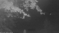 Archiv Foto Webcam Oberstdorf: Freibergsee Liegewiese 01:00