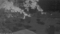 Archiv Foto Webcam Oberstdorf: Freibergsee Liegewiese 01:00