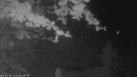 Archiv Foto Webcam Oberstdorf: Freibergsee Liegewiese 23:00