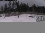 Archiv Foto Webcam Rennsteig - Parkplatz Neue Ausspanne 11:00