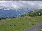 Archiv Foto Webcam Saalbach Hinterglemm - Berghotel Seidl-Alm 09:00