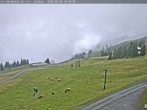 Archiv Foto Webcam Saalbach Hinterglemm - Berghotel Seidl-Alm 09:00