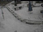 Archiv Foto Webcam Bruchhausen - Rodelbahn Sternrodt 13:00