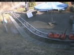 Archiv Foto Webcam Bruchhausen - Rodelbahn Sternrodt 13:00