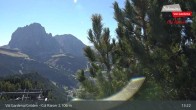 Archived image Webcam Col Raiser - Cal Gardena 12:00