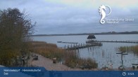 Archiv Foto Webcam Timmendorfer Strand: Hemmelsdorfer See 12:00